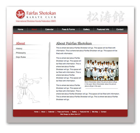 Northern Virginia Website Designer, Washington DC Webpage Design, Web Site Design Arlington Virginia, Contract Website Designer Reston VA, SEO Web Page Design McLean VA, Graphic Artist Washington DC